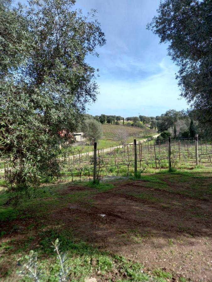 Villa Agreste Ostuni Zewnętrze zdjęcie