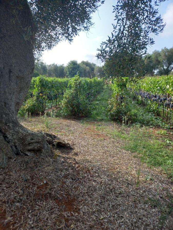 Villa Agreste Ostuni Zewnętrze zdjęcie